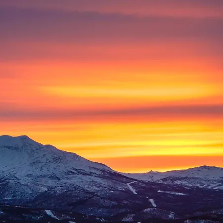 Malselv Fjellandsby - *