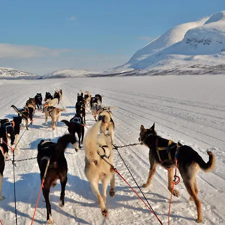 בית נופש Malselv Fjellandsby - *