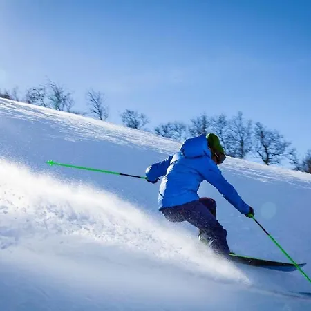 Malselv Fjellandsby -