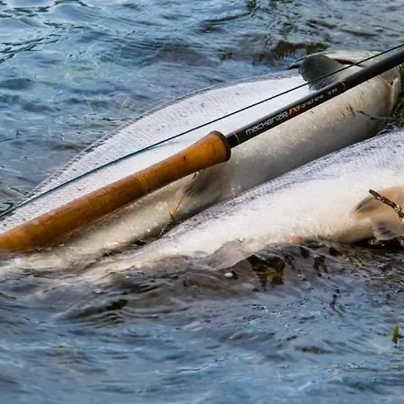 Malselv Fjellandsby - בית נופש