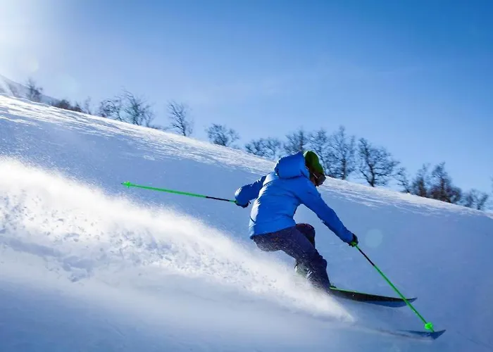 Malselv Fjellandsby -
