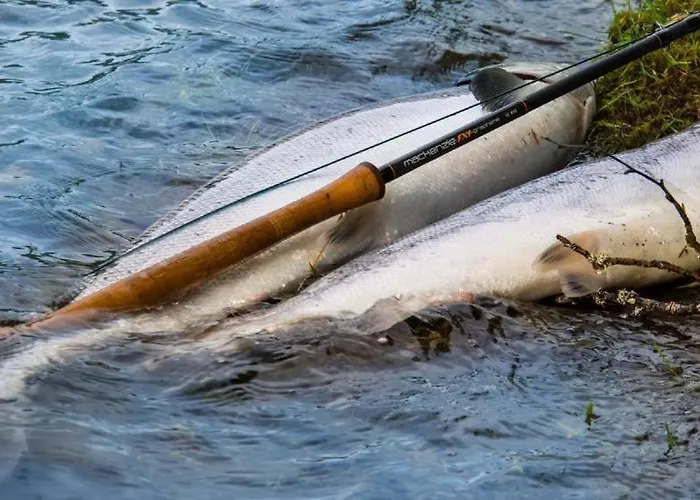 Malselv Fjellandsby - Σπίτι διακοπών